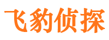 灵宝侦探公司